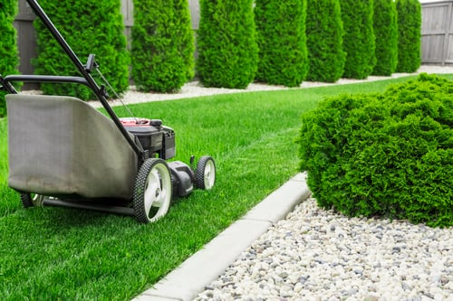 Freshly mowed lawn and planted beds at a Palm Beach County home